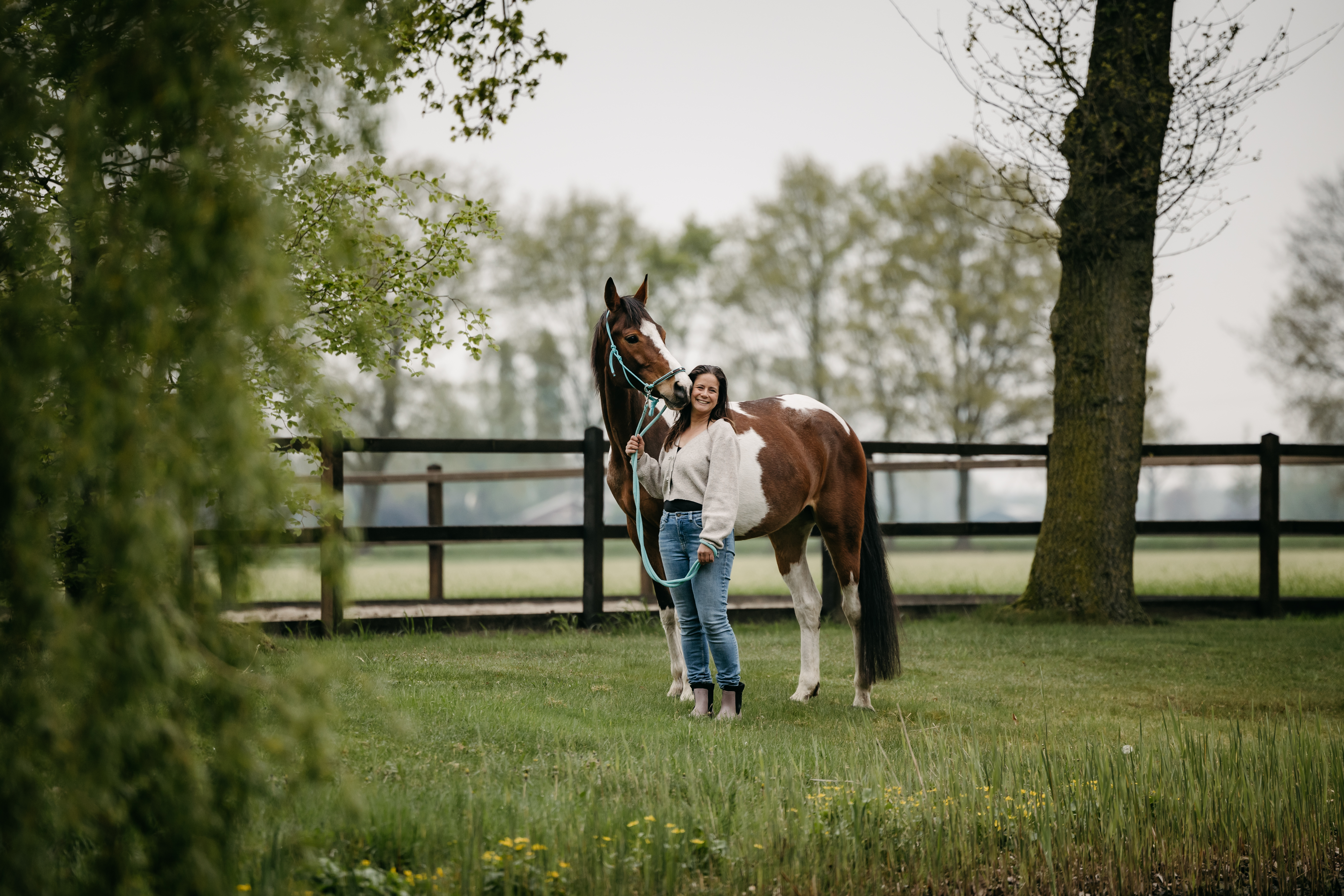 Locatie EquiVeer in Lemelerveld