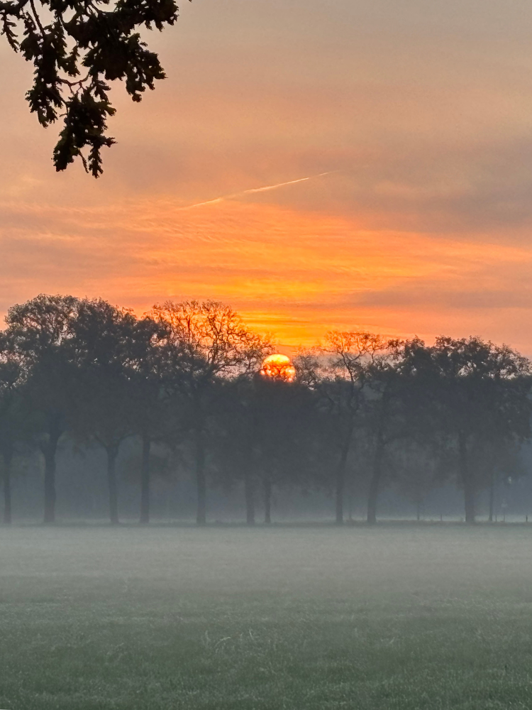 https://equiveer.nl/wp-content/uploads/2026/08/Team-vergadering-8-EquiVeer-Vera-Fredrikz-Lemelerveld-Zwolle-Kampen-Hengelo-Enschede-Zutphen-Deventer-Apeldoorn-Almelo-Raalte-Ommen-Hardenberg-Oldenzaal.png
