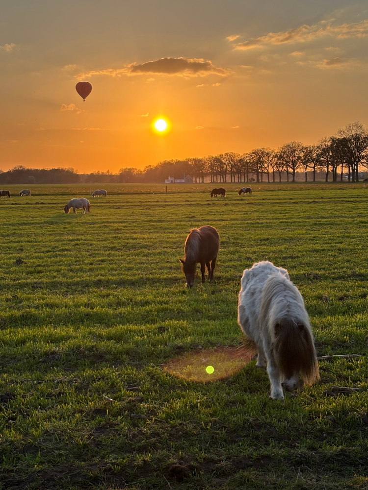 https://equiveer.nl/wp-content/uploads/2026/08/Team-vergadering-8-EquiVeer-Vera-Fredrikz-Lemelerveld-Zwolle-Kampen-Hengelo-Enschede-Zutphen-Deventer-Apeldoorn-Almelo-Raalte-Ommen-Hardenberg-Oldenzaal.png