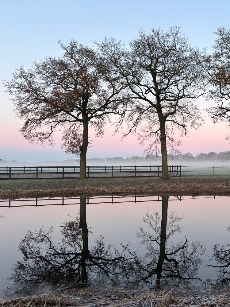 Team vergadering 8 - EquiVeer-Vera-Fredrikz-Lemelerveld-Zwolle-Kampen-Hengelo-Enschede-Zutphen-Deventer-Apeldoorn-Almelo-Raalte-Ommen-Hardenberg-Oldenzaal