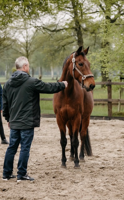 Teamontwikkeling Equiveer Vera Fredrikz Lemelerveld Zwolle Kampen Hengelo Enschede Zutphen Deventer Apeldoorn Almelo Raalte Ommen Hardenberg Oldenzaal