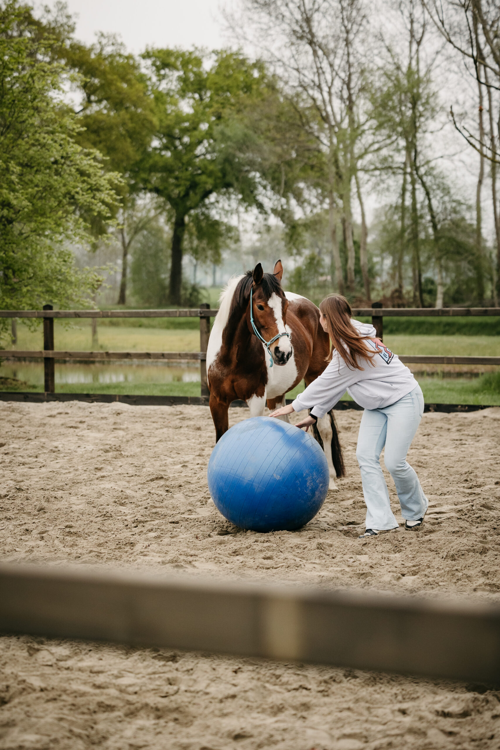 Teamactiviteit-Equiveer-Vera-Fredrikz-Lemelerveld-Zwolle-Kampen-Hengelo-Enschede-Zutphen-Deventer-Apeldoorn-Almelo-Raalte-Ommen-Hardenberg-Oldenzaal.