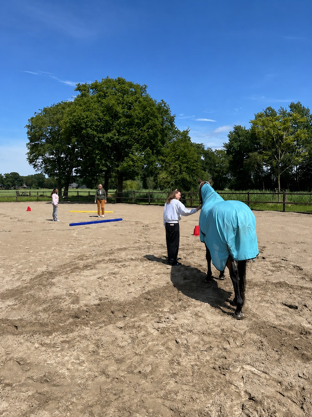 Teamactiviteit-Equiveer-Vera-Fredrikz-Lemelerveld-Zwolle-Kampen-Hengelo-Enschede-Zutphen-Deventer-Apeldoorn-Almelo-Raalte-Ommen-Hardenberg-Oldenzaal