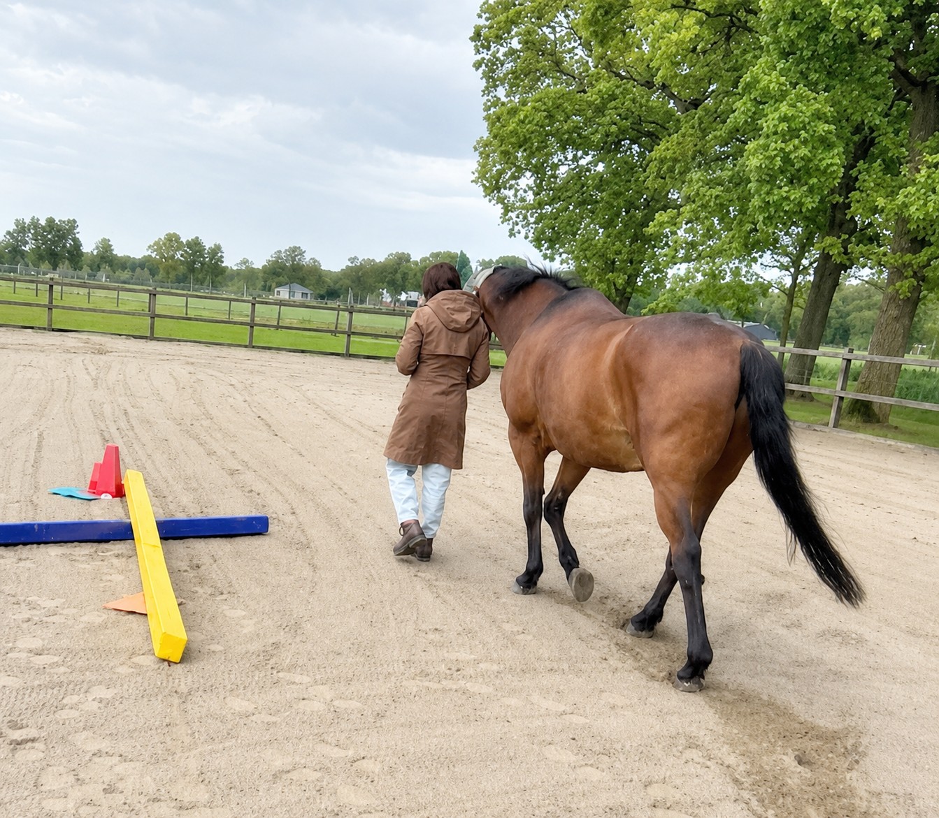 Vitaliteit op de werkvloer-Equiveer-Vera-Fredrikz-Lemerlerveld-Zwolle-Kampen-Hengelo-Enschede-Zutphen-Deventer-Apeldoorn-Almelo-Raalte-Ommen-Hardenberg-Oldenzaal